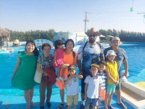 Enjoy a fun family adventure with dolphins and sea lions today 2025