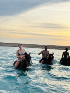 Hurghada Horse Riding Beach Tour all inclusive