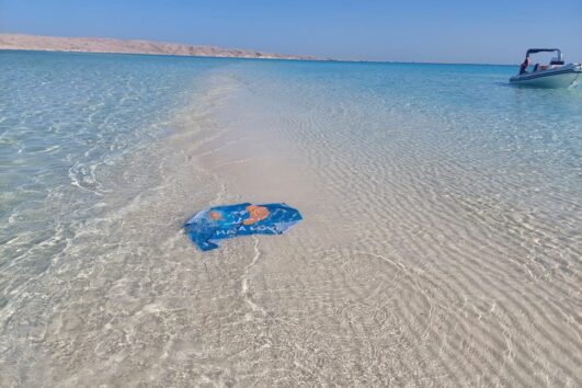 Abu Minqar Hurghada Trips by speedboat All inclusive 2025