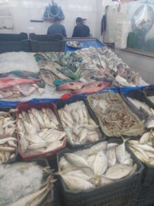 Hurghada Fish Market