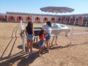 Set Best Safari Hurghada Egypt Desert Star-Watching Adventure by Big observatories Telescope 2026