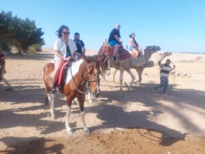 observatories Telescope with Quad Biking, Horse Riding, Camel and Luxury Dinner and Show