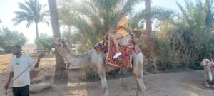 30min Camel Ride