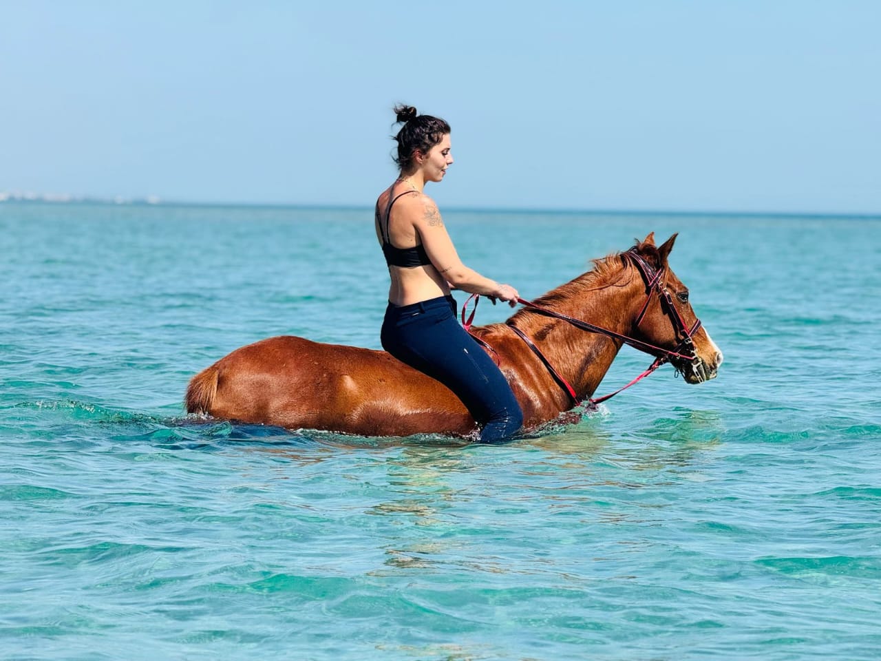 Horse riding EL Gouna & swimming horseback
