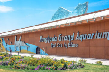 Hurghada-Grand-Aquarium-Tour-from-Makadi-Bay