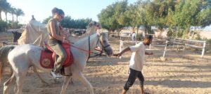 Soma bay Stargazing Tour