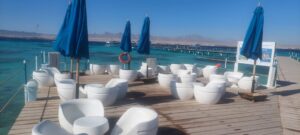 Bianca Island Beach Trip from Hurghada 6