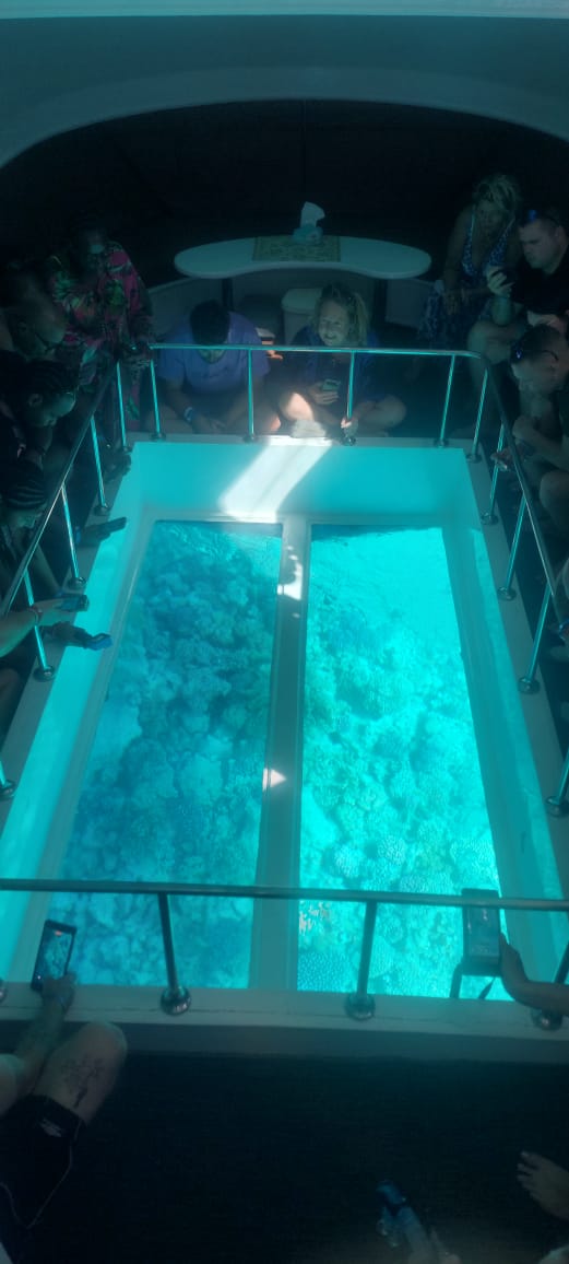 Glass Bottom Boat Trip