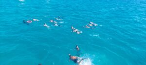 Snorkeling Reef Spot