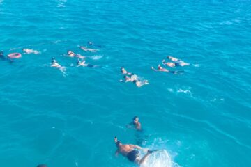 Snorkeling Reef Spot Excursion à l’île d’Paradise depuis Hurghada