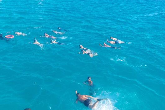 Snorkeling Reef Spot Excursion à l’île d’Paradise depuis Hurghada